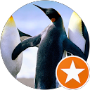 Jhobam Alexis Orrego Arango profile picture